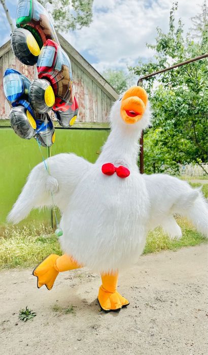 Гусь-Обіймусь. Гусь, привітання