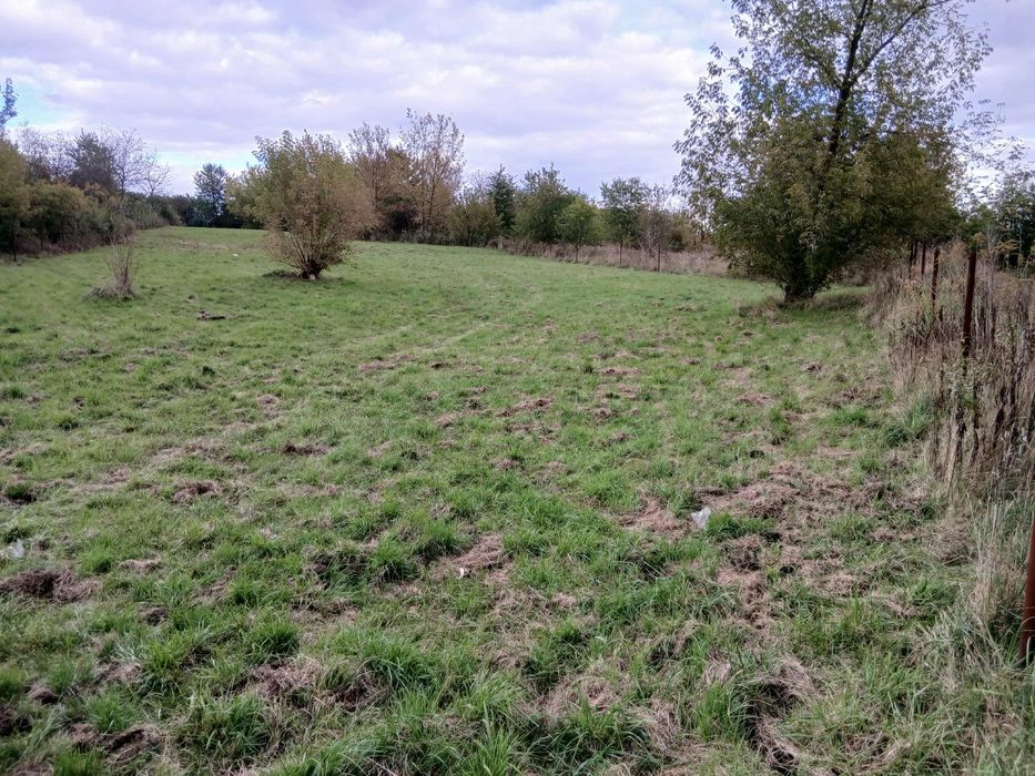 Działki Budowlane Stara Huta 35 arów