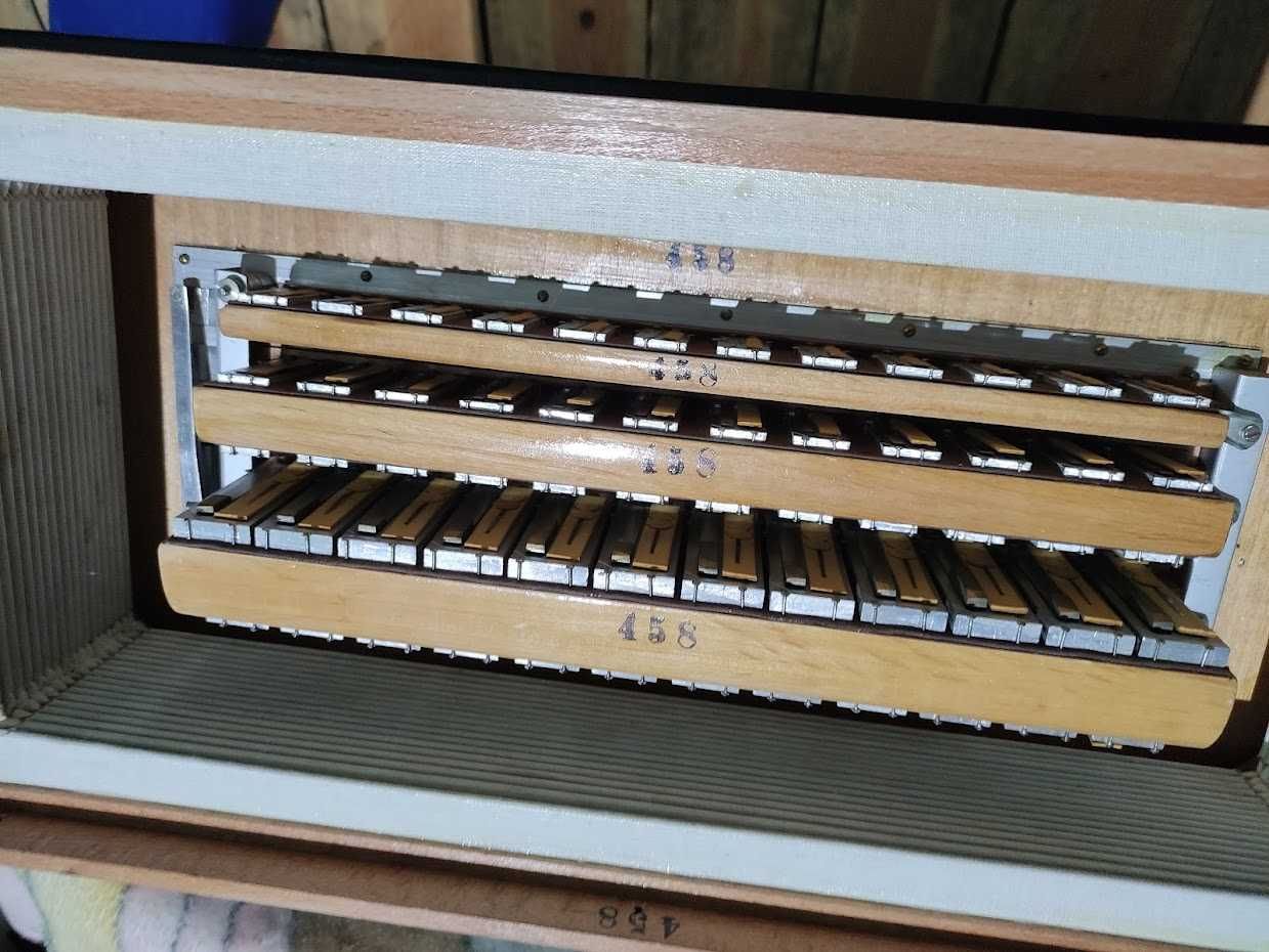 Acordeon com microfones modernos pilha 9v troco por dois