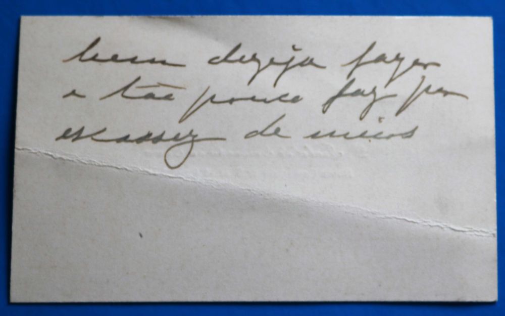 D. Isabel Saldanha da Gama, Dama Camarista Rainha D. Amélia