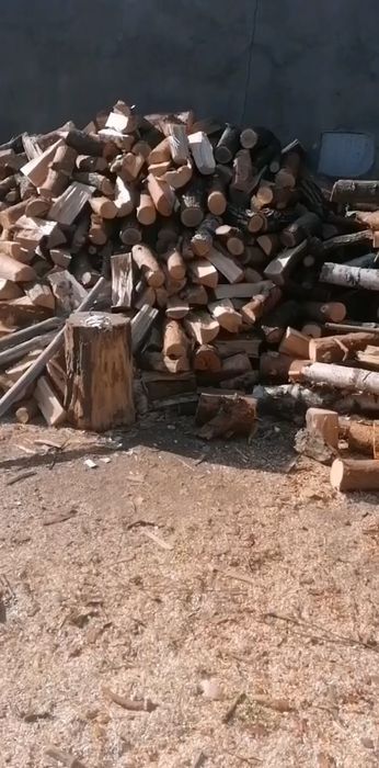 Usługi ogrodnicze i porządkowe