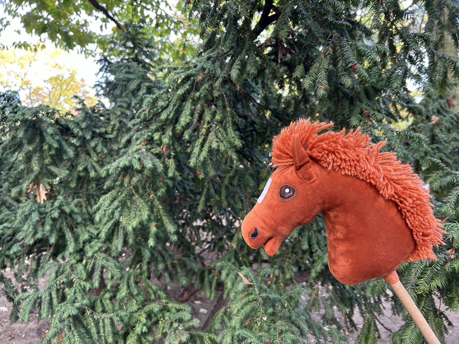 Hobby horse rydy