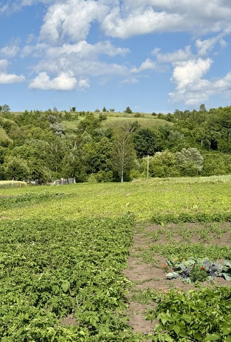 Ділянка 25 сот, с. Щербанівка, Обухів р-н