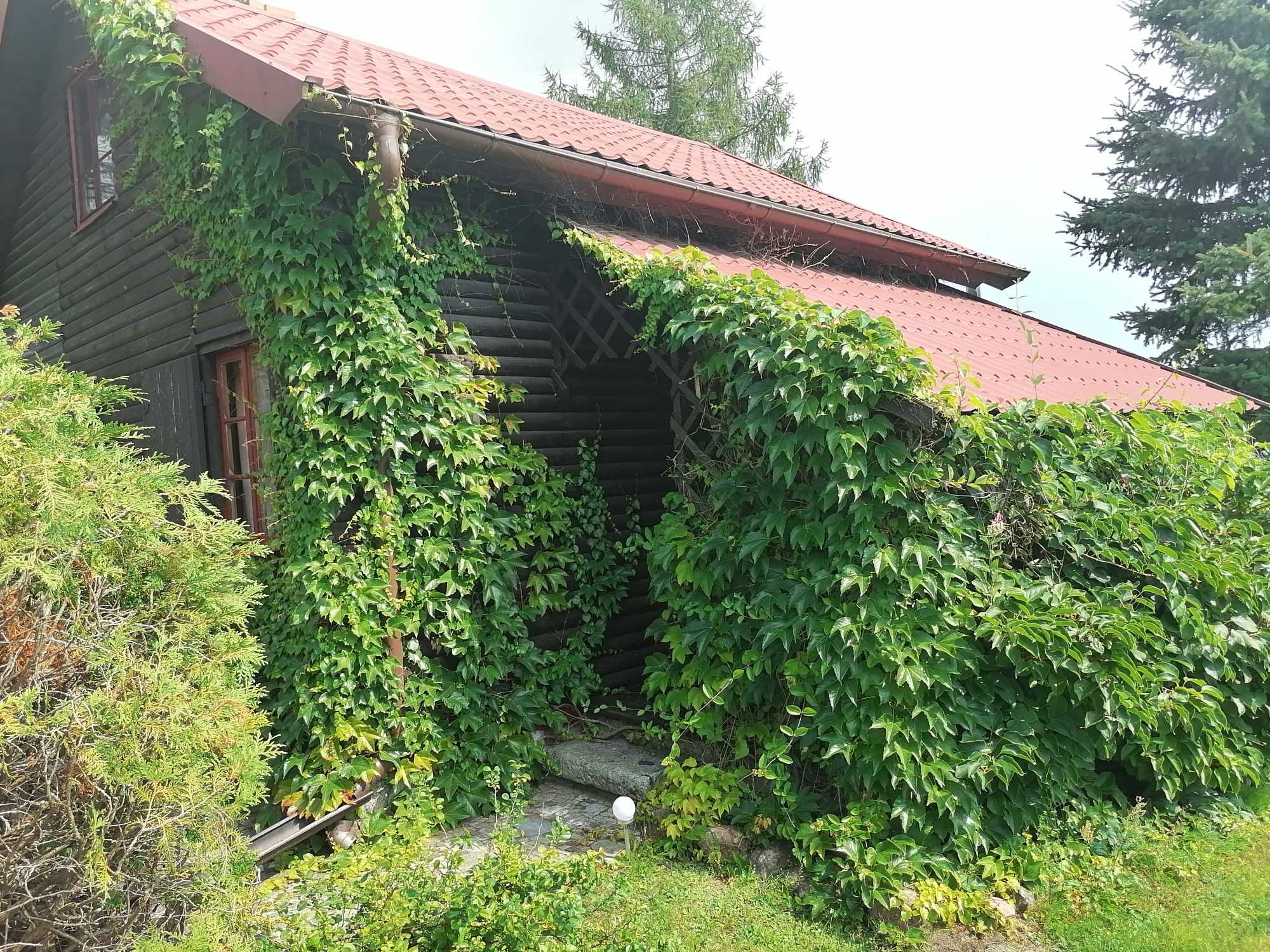 Wynajmę domek letniskowy Blanki