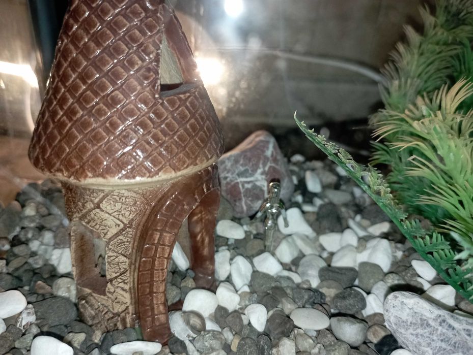 Акваріум 7 л з фільтром і декором