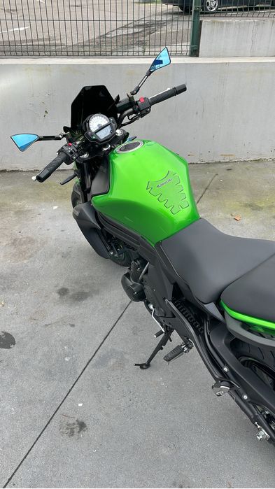 Kawasaki ER-6n 2015