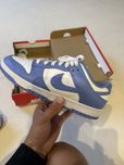 Nike dunk low polar blue
