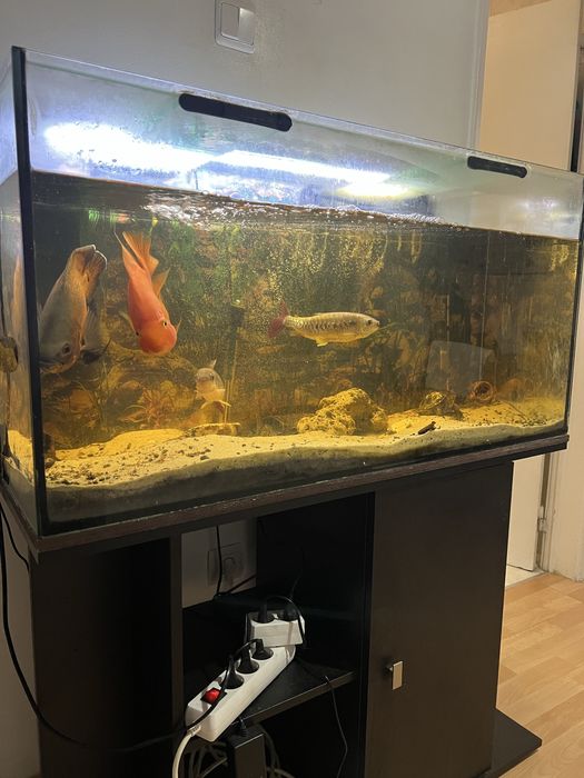 Vendo aquario completo com movel