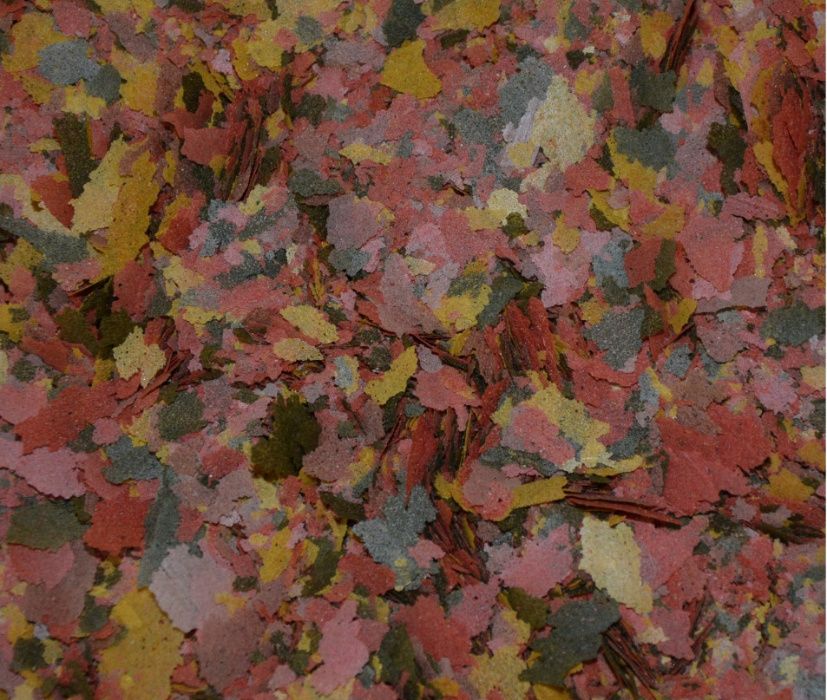 Ichtio-vit, dafnia , ochotka suszona, Glopex algen-wafers, small-mix