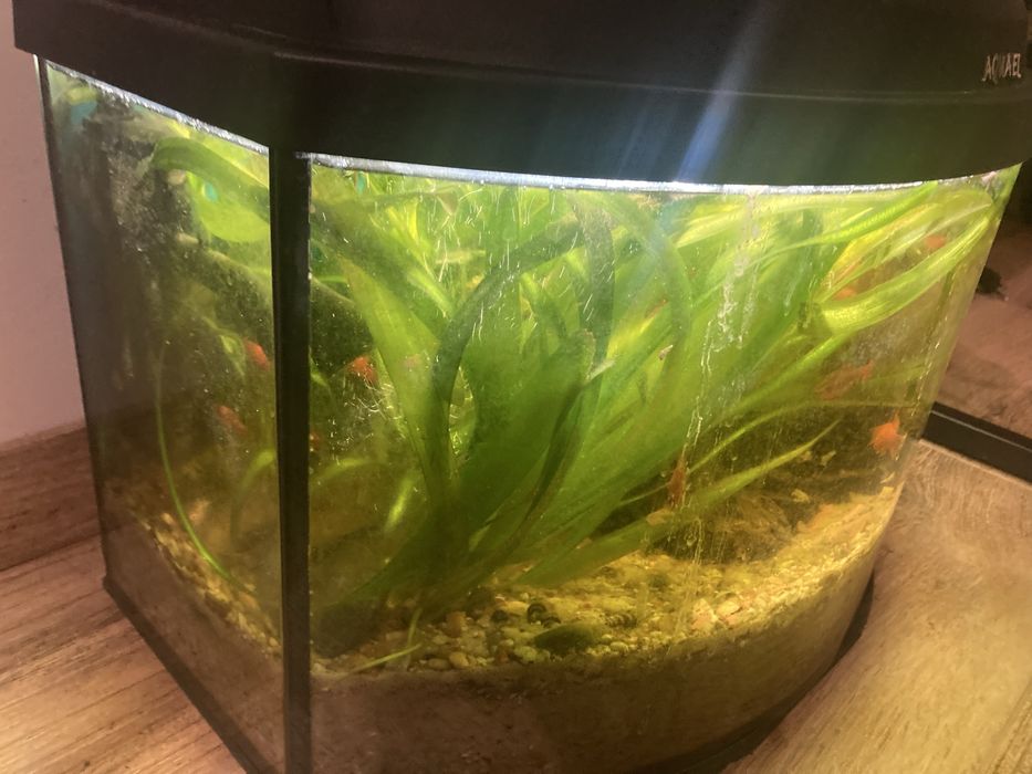 Akwarjum pokrywa i oswietlenie led