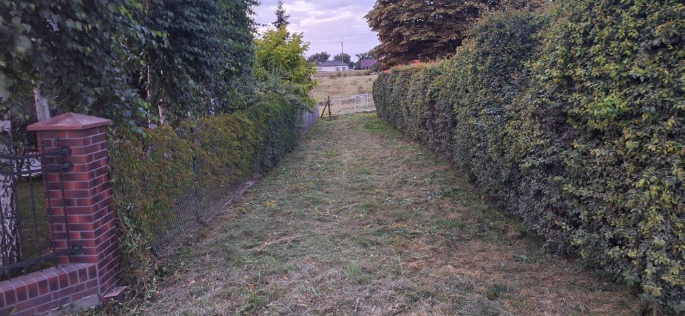 Ogrodzona działka z warunkami zabudowy 15,82 ara przy ul. Polnej.