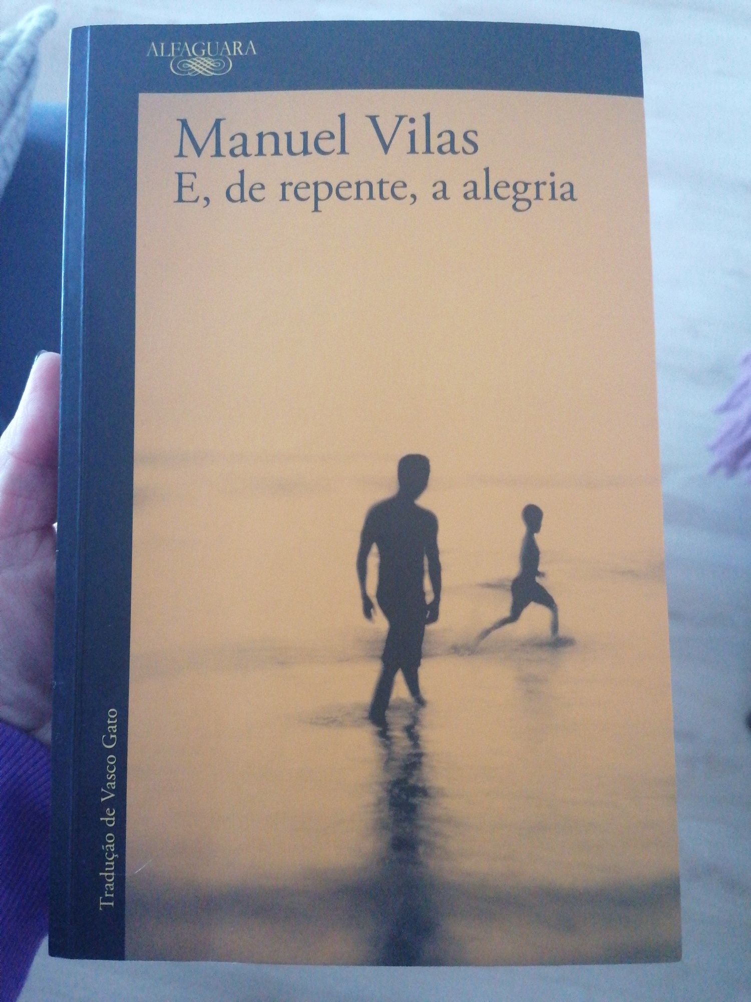 Livro "E de repente, a alegria" de Manuel Vilas