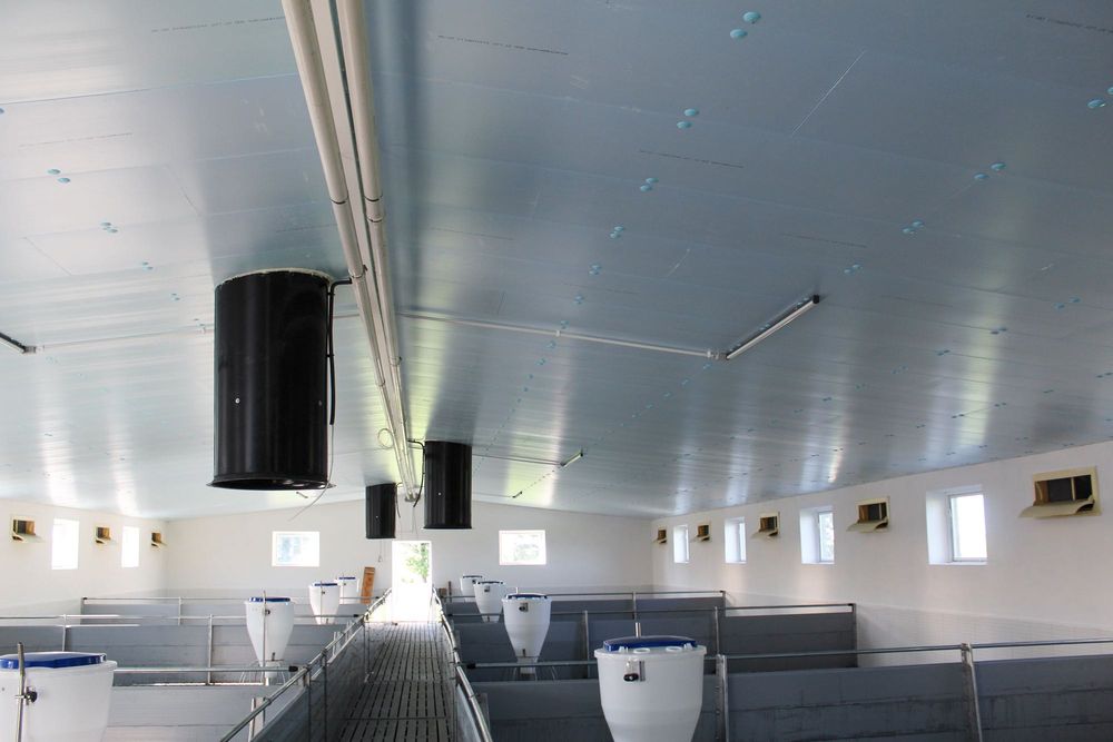 Sufit Strop Ściany do Obory Chlewni Kurnika Tuczarni Styrodur XPS AGRO