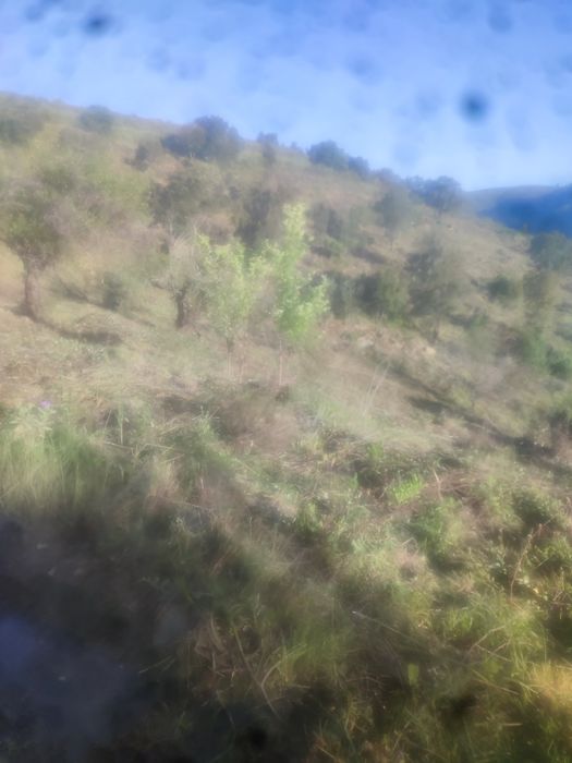 Vendo um terreno junto ou Douro