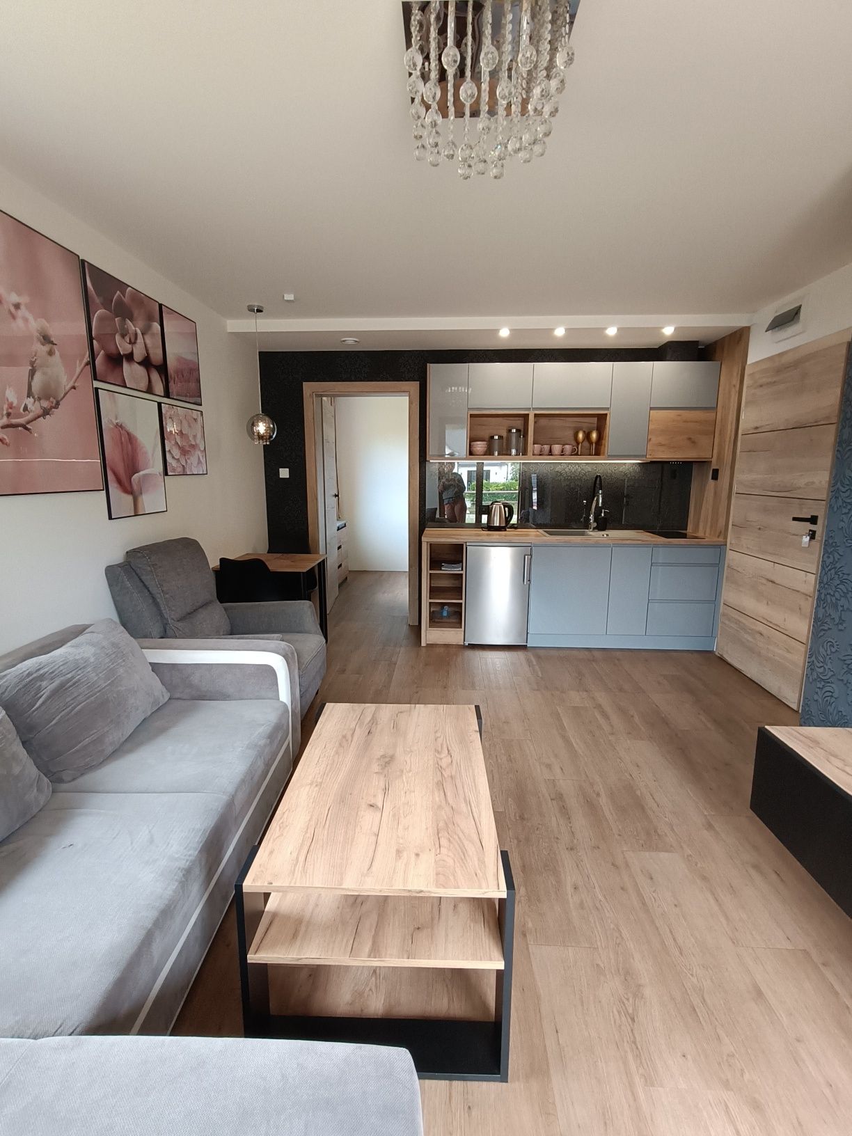 Aster Aparts Apartamenty Wyspa Sobieszewska