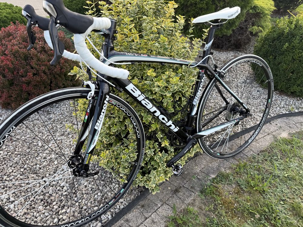 Bianchi Impulso roz.50