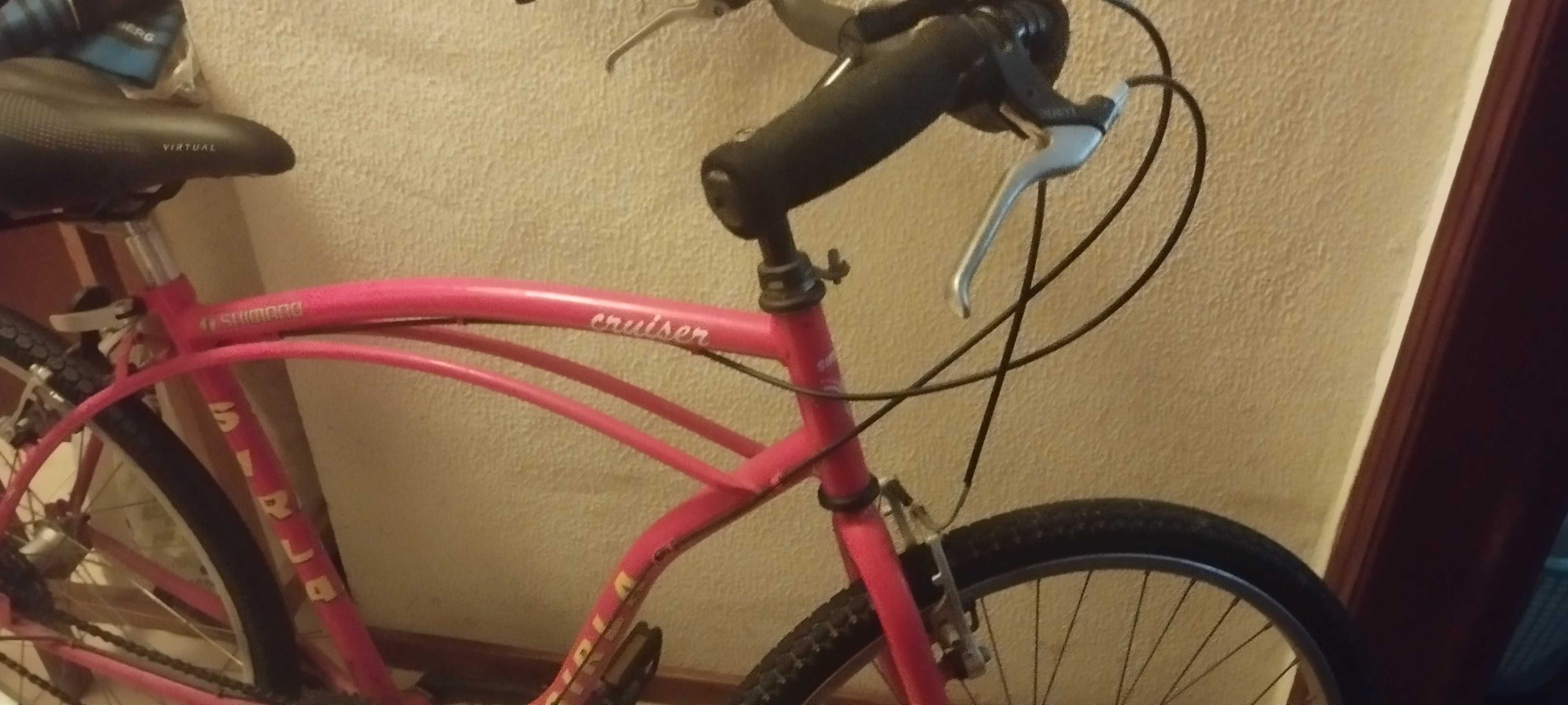 Bicicleta Pasteleira Shimano_Classic