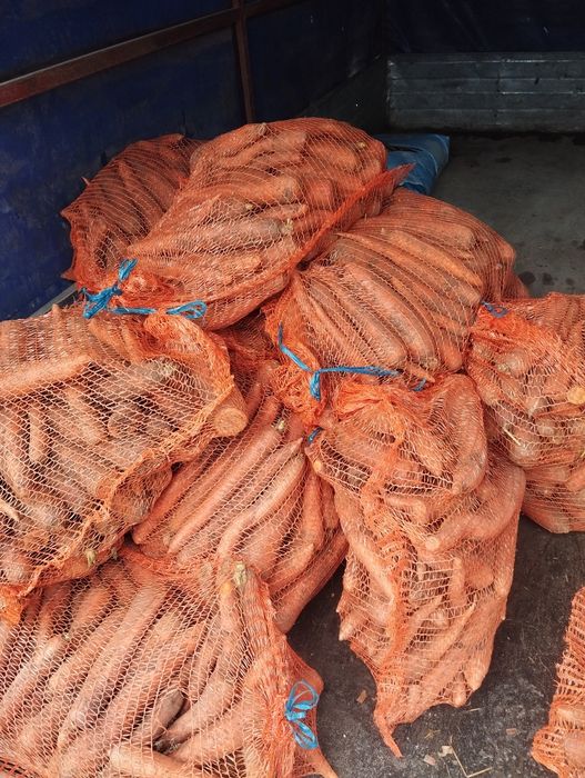 Marchew 10 kg.      .