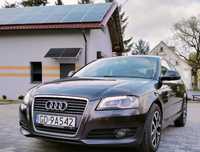 Audi A3 Audi A3 8P 1.4 TFSI 2008 Coupe, Bixenon, Webasto, Klima, PDC, Alu