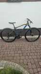 Rower cross level mtb