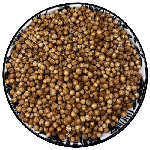 Kolendra ziarno 50g – Przyszłość przypraw. Potęga aromatu, CrazySpices