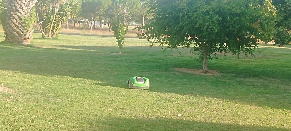 Robôs corta relva venha ver a trabalhar