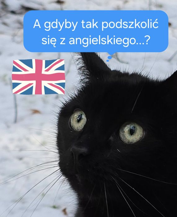 Korepetycje z języka angielskiego online – wszystkie poziomy i egzamin