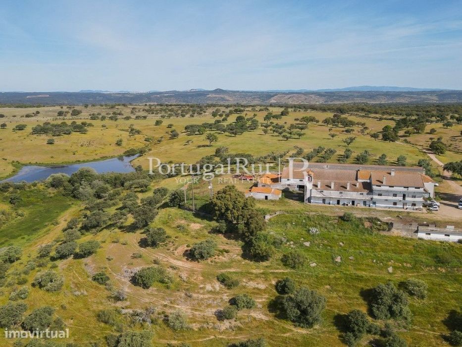 Herdade com 380ha próximo de Castelo Branco