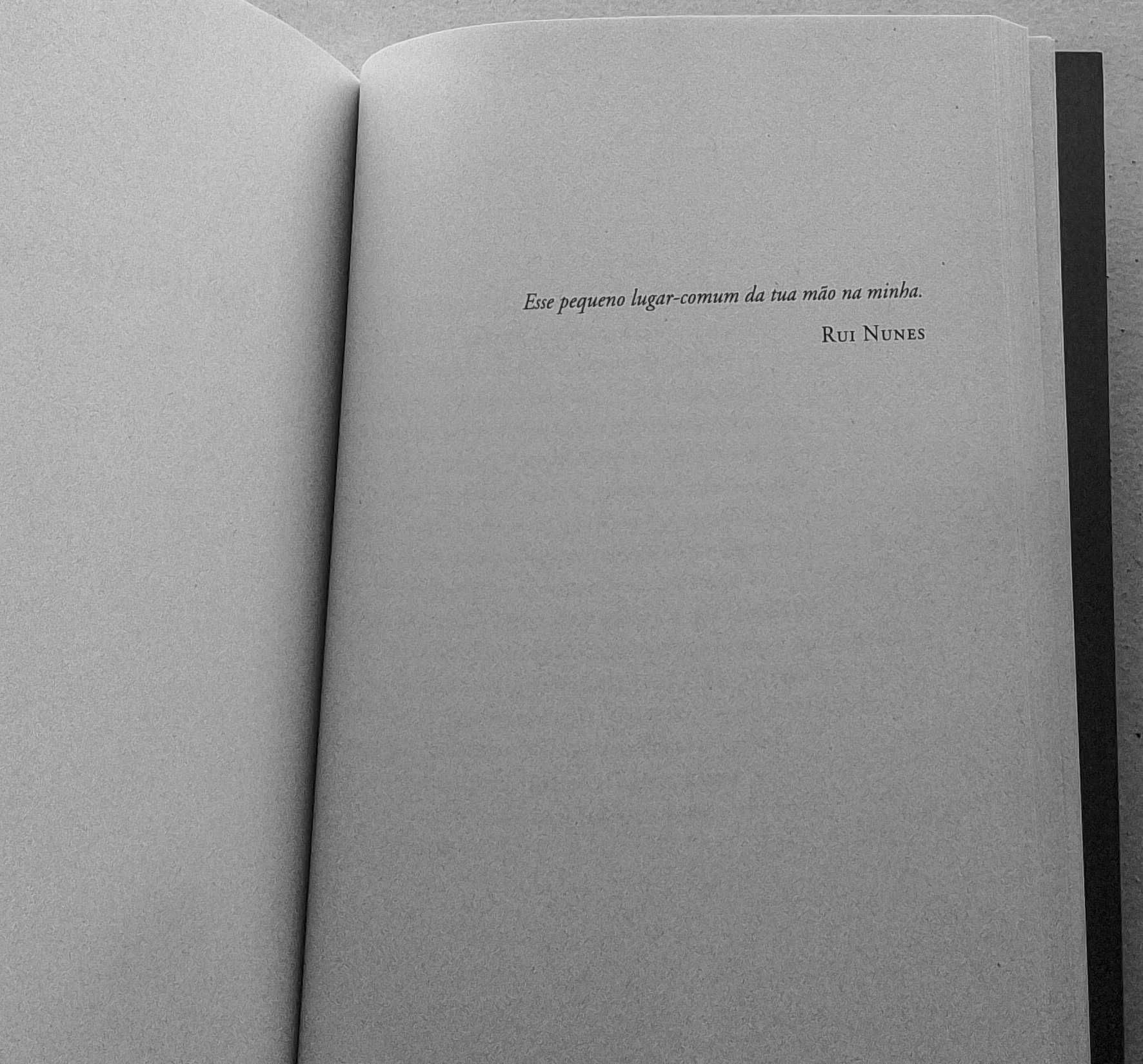 Pack de 4 livros de poesia
