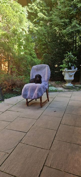 Pokrowce samochodowe  futrzane na przednie siedzenia