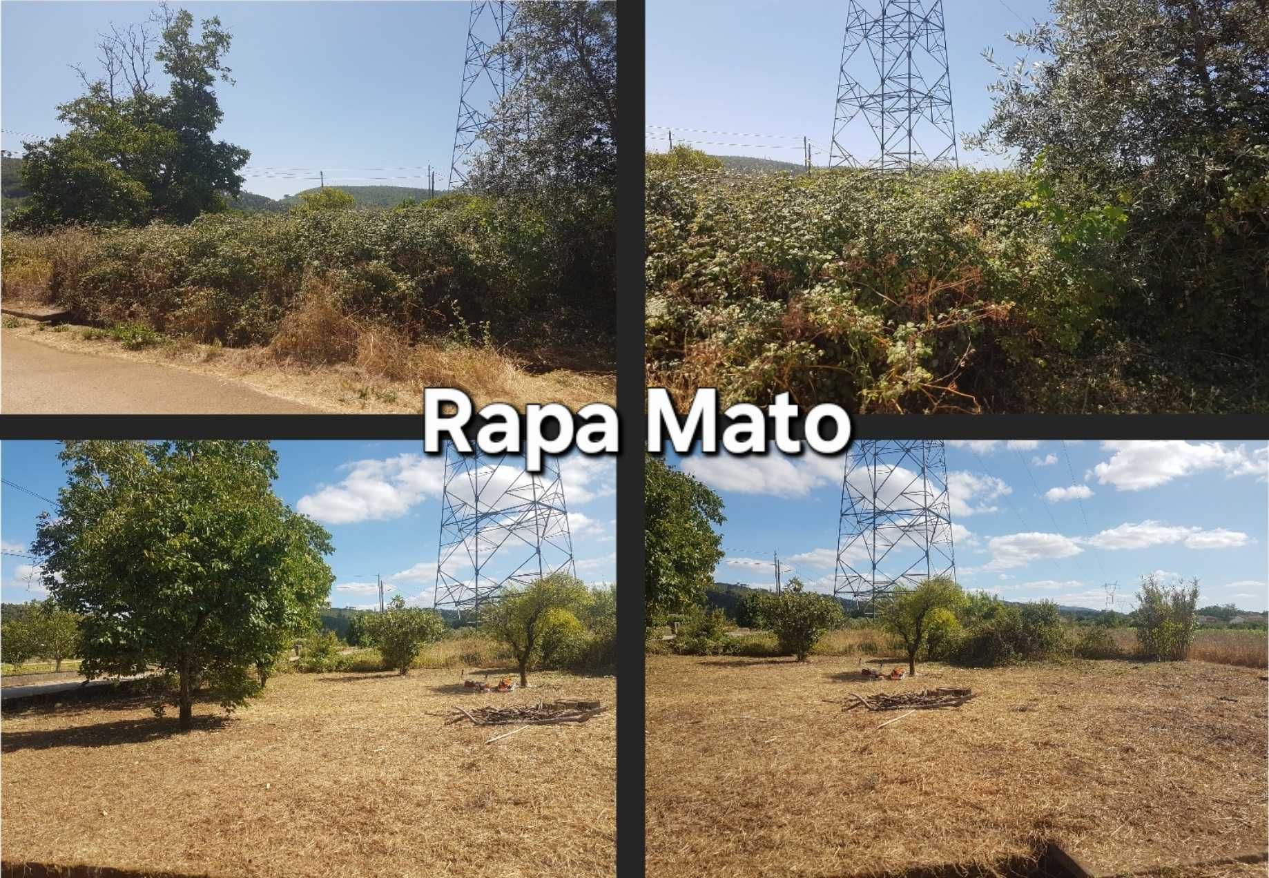 Limpamos terreno e matas à partir de 0,78€/m² - Coimbra e arredores