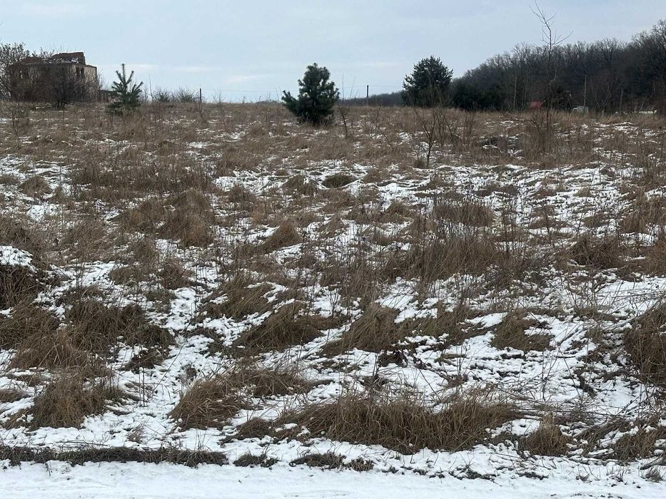 Продається земельна ділянка в Селищі