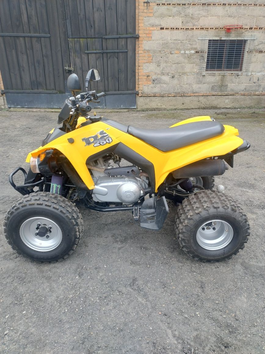 Quad Can AM ds 250