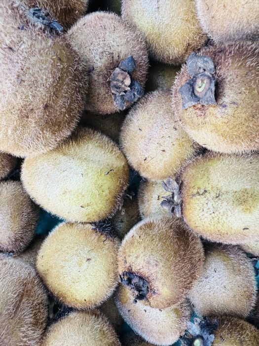 Kiwis 100% natural - 2KG PROMOçÃO