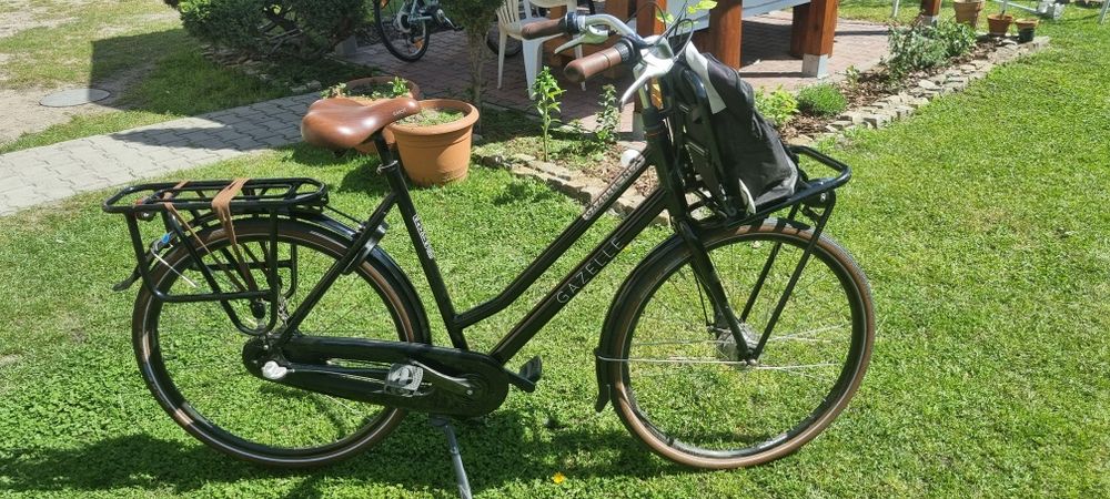 Rower Gazelle  męski