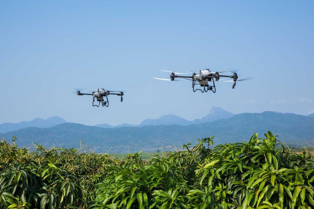 Dron rolniczy DJI Agras T50