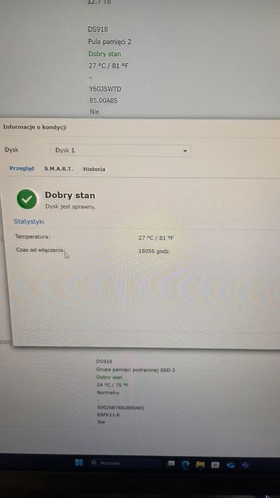 Synology NAS DS918+ WD RED 28 TB