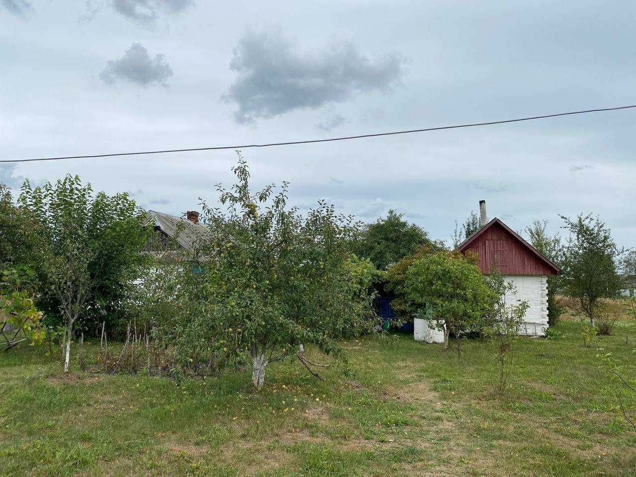 Продам будинок в с. Борзова Ковельський р-н