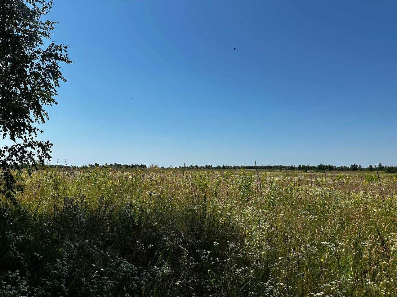 Продаж земельної ділянки 38,59 соток (ОСГ). 50 метрів від траси.ID:678