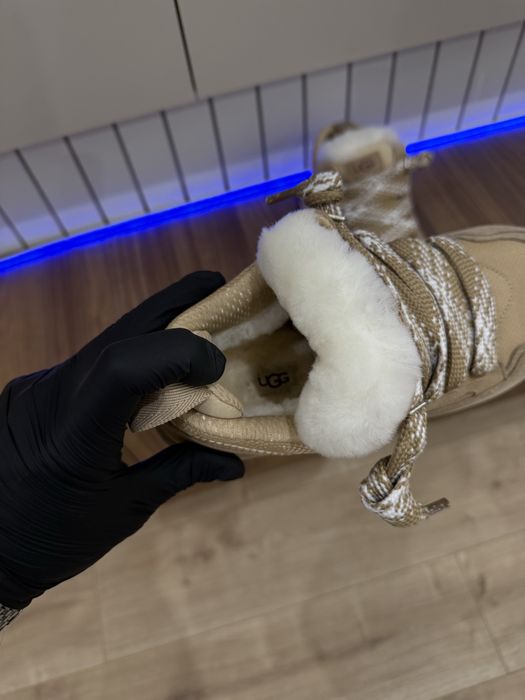 Жіночі UGG Lowmel / в наявності !