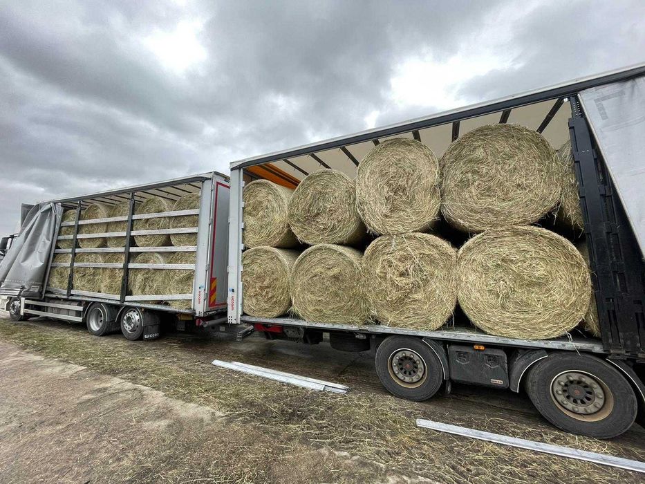 siano okrągłe bele, duża kostka oraz mała kostka TRANSPORT CAŁA POLSKA