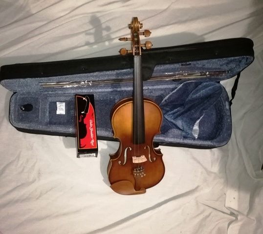 Violino de madeira profissional