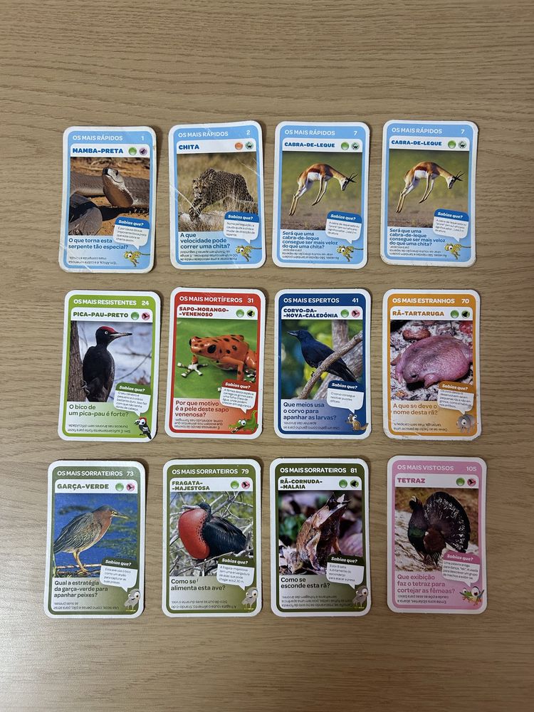 Cartas Super Animais - Pingo Doce