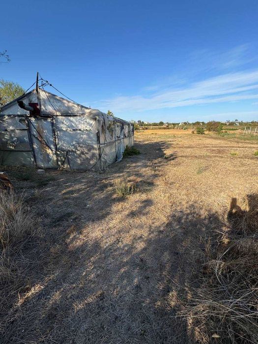 Дальник , Грибівка будинок , 40 сот зем. ділянка