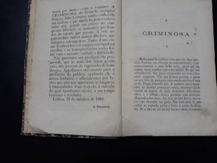 A Criminosa - Júlio Lermina