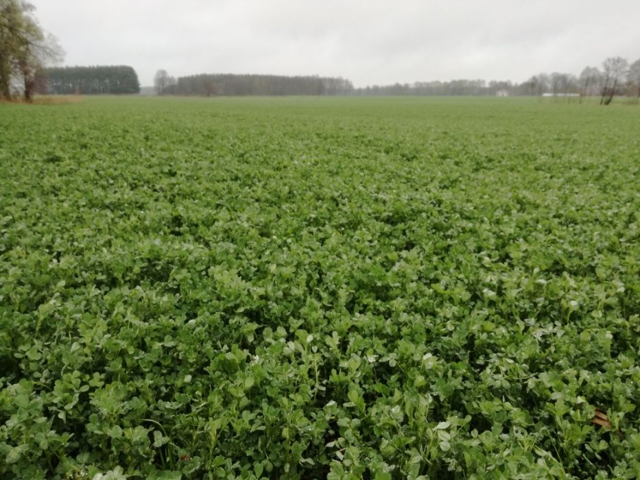 Lucerna DSV PLANET 2060