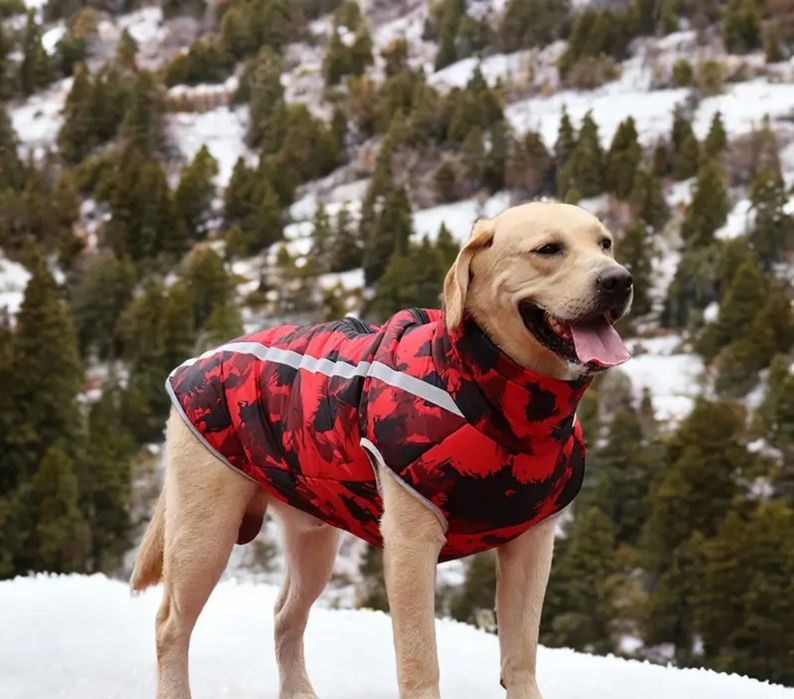 Одяг для великих собак