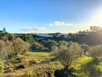 Terreno com 2,9129 Hectares