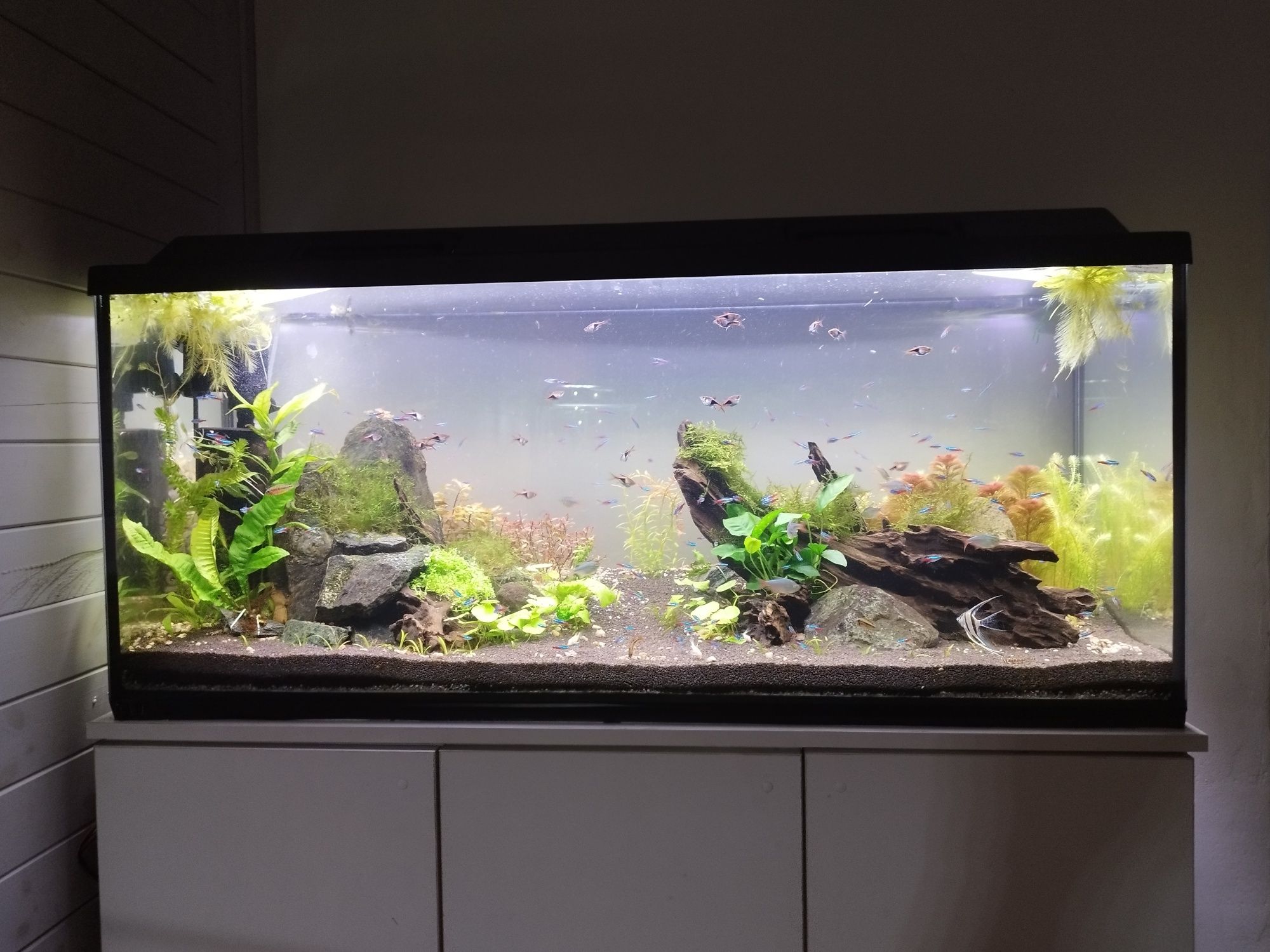 Pokrywa 120x40 z oświetleniem WRGB TC420 zasilacz wschód zachód