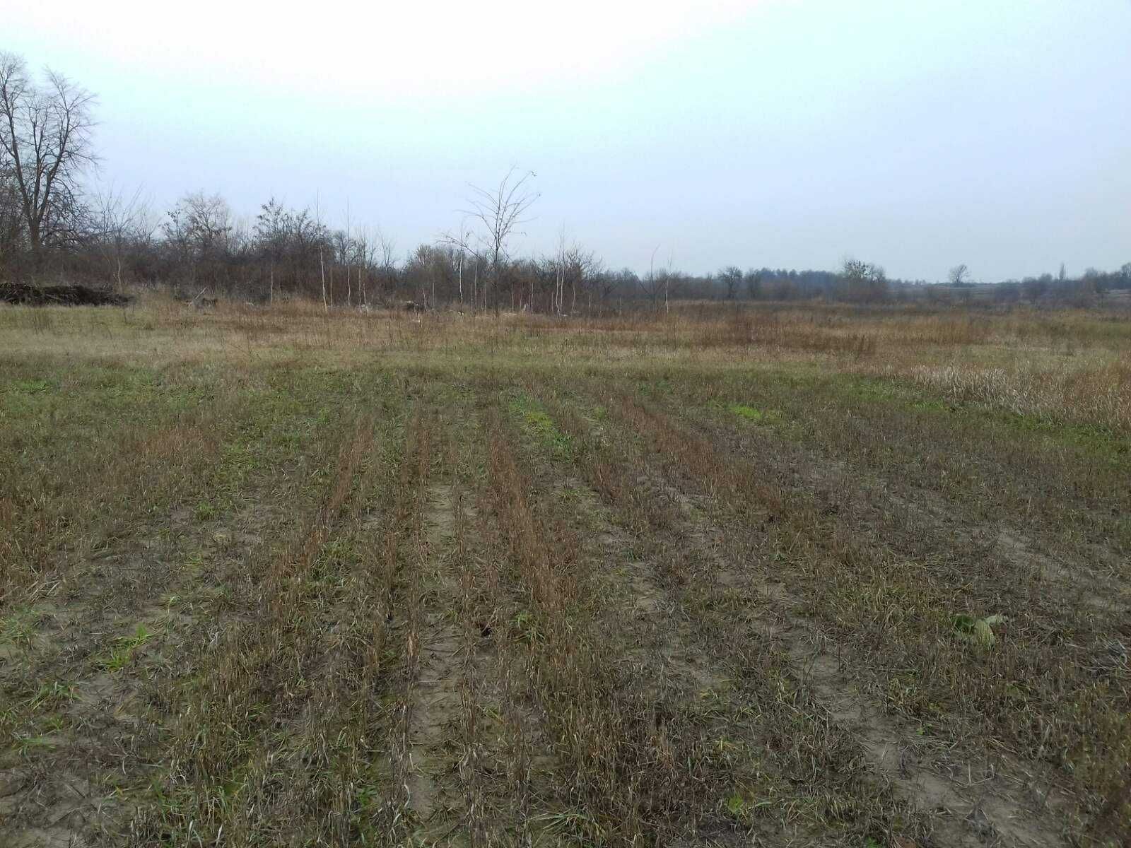 Продам земельну ділянку 11,4 сотих  під забудову в смт. Черняхів